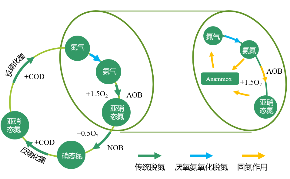 厭氧氨氧化工藝